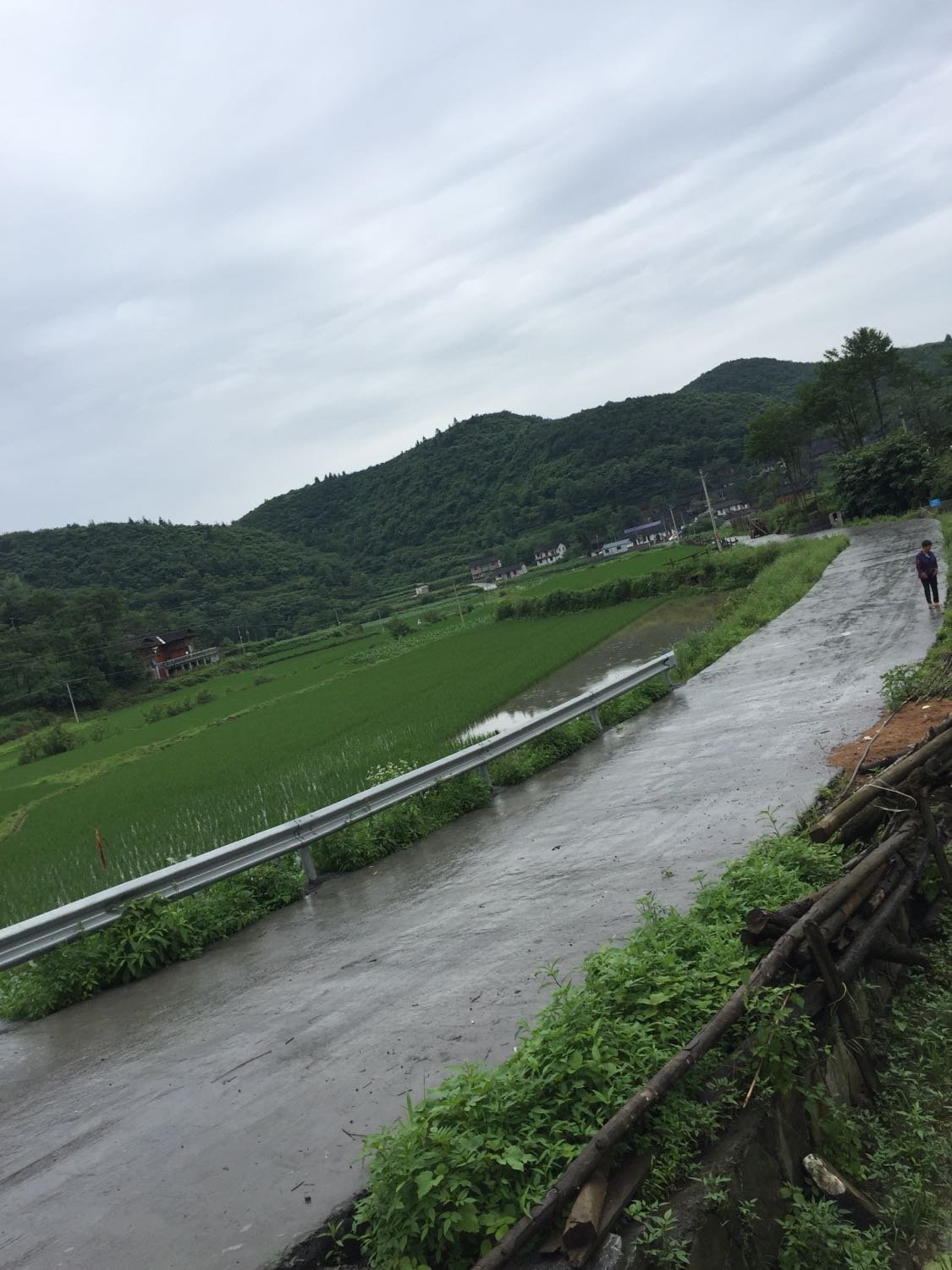 五头镇天气预报更新