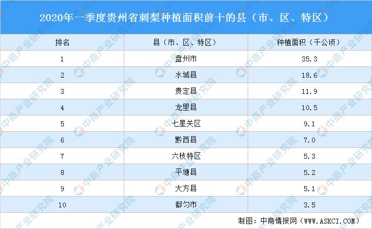 大方县统计局最新招聘信息全面解析