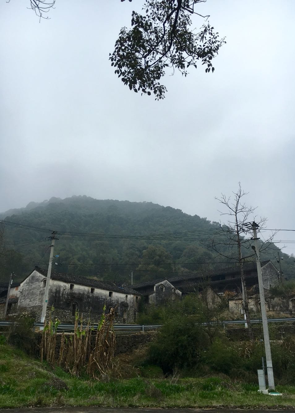 查塘村天气预报更新通知