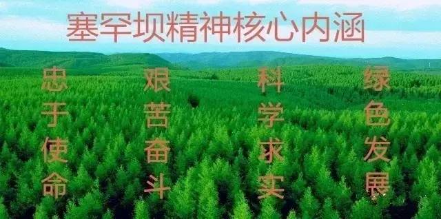 桦皮羌子林场最新招聘信息及其职业机遇探索