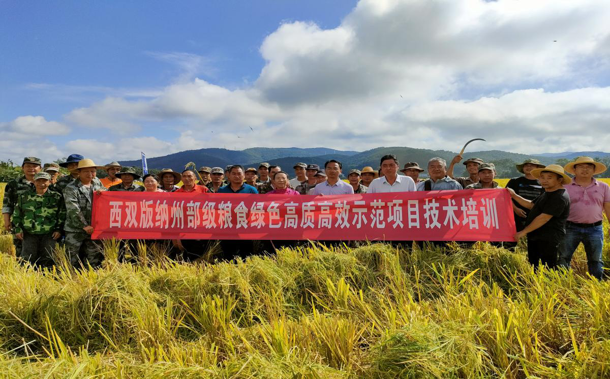 西双版纳傣族自治州市粮食局推动粮食产业高质量发展新项目启动