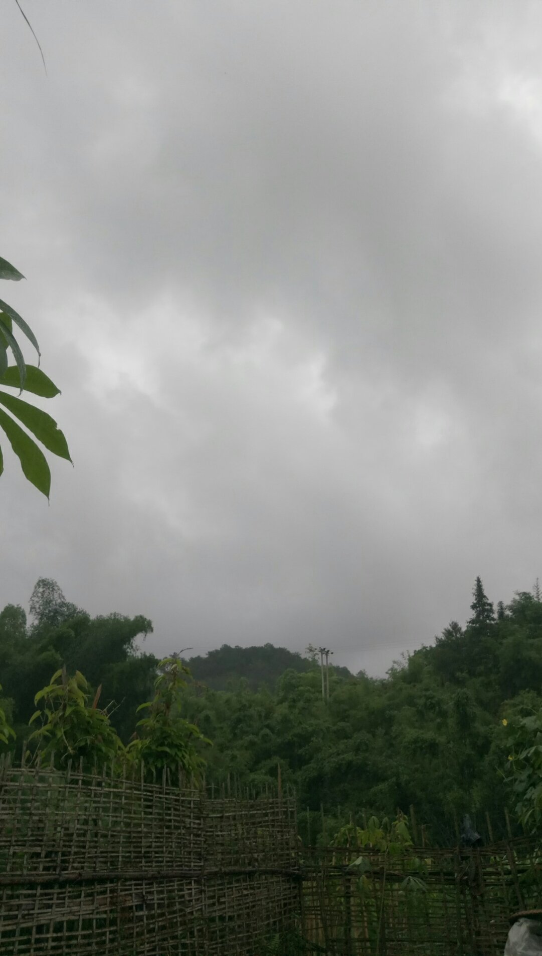 木耳镇天气预报更新通知