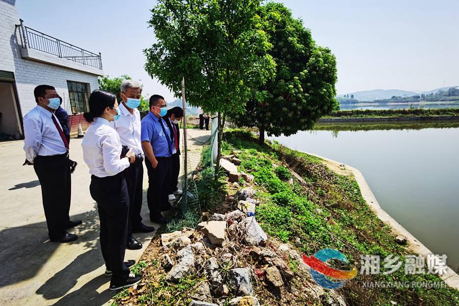 湘潭市市人民检察院最新招聘信息概览