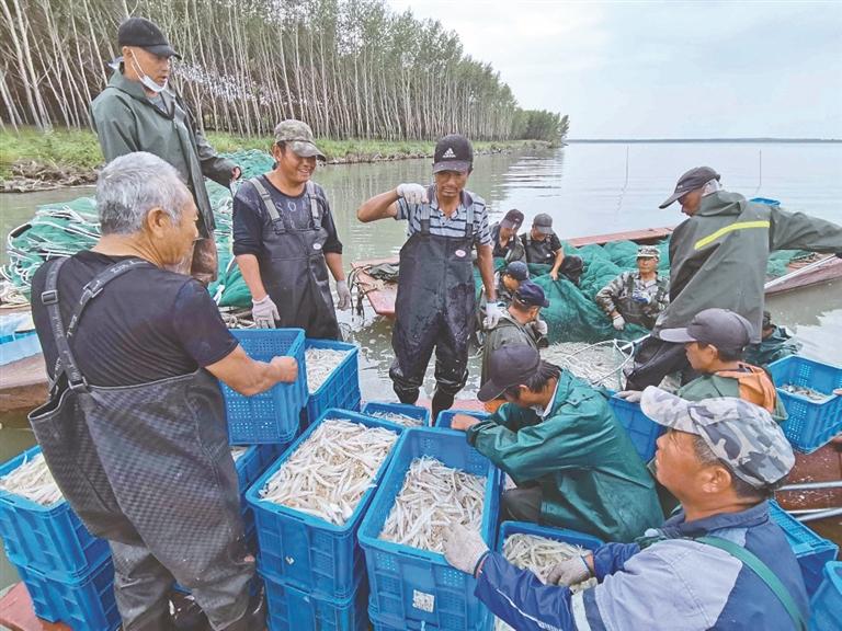 杜尔伯特蒙古族自治县发展和改革局最新项目概览与动态分析