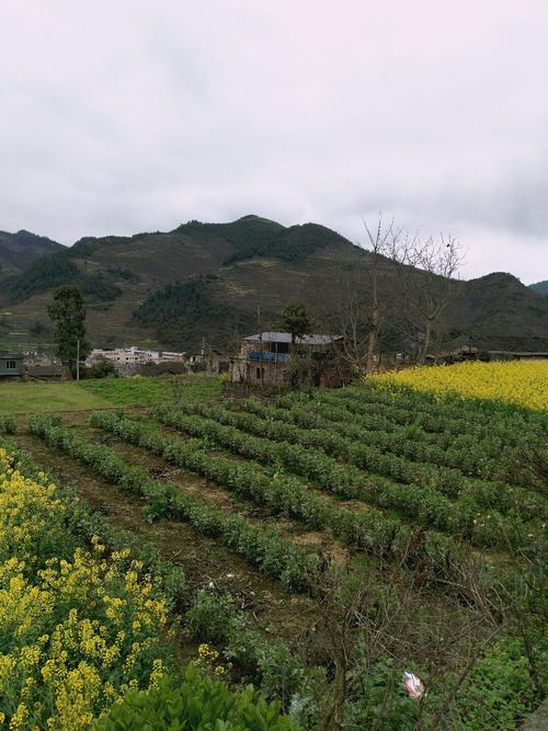 盘安乡天气预报更新通知