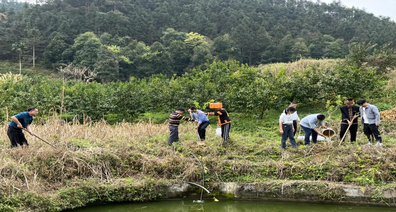 平南县审计局最新新闻