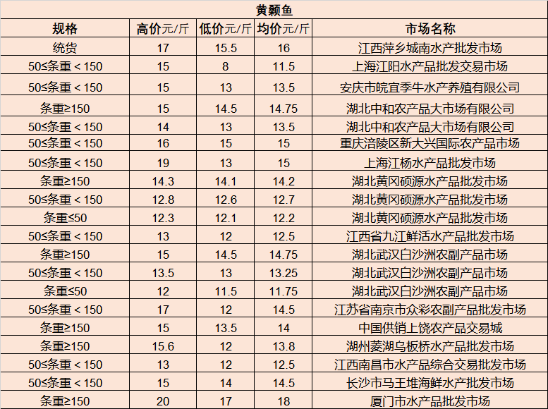 2025年1月5日 第13页