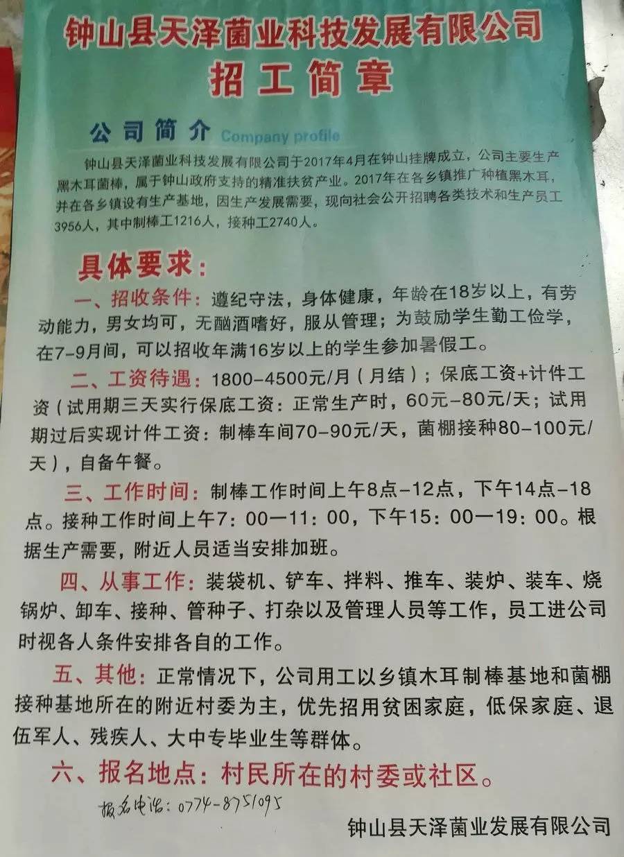 仲达村最新招聘信息全面解析