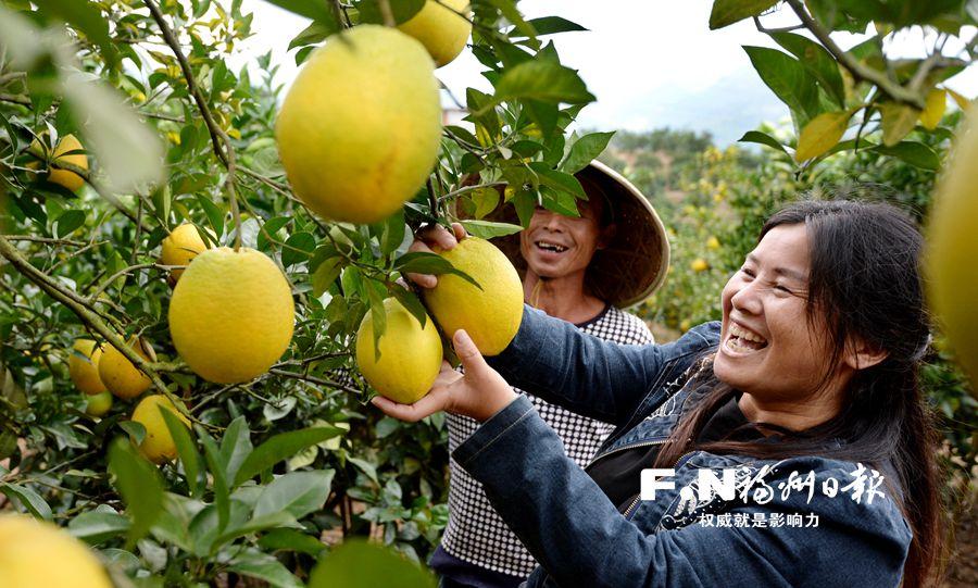 矿山乡最新交通新闻，道路改造升级与交通安全的双提升