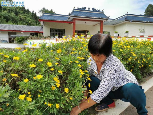 西坝村委会最新领导团队，引领村庄迈向新篇章