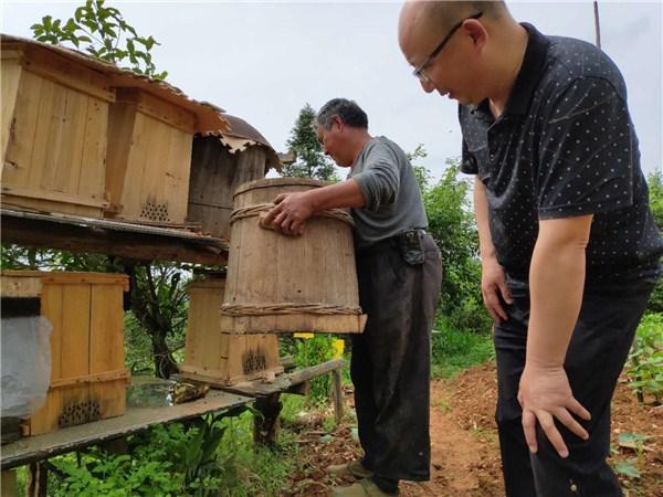 祁红乡最新动态，乡村振兴与地方发展新篇章