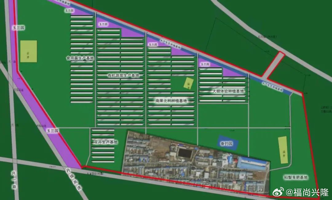 兴盛街道最新发展规划，塑造未来城市崭新蓝图