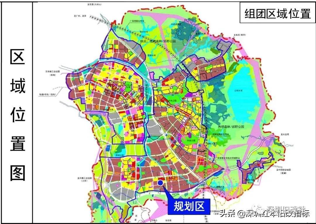 2025年1月25日 第10页