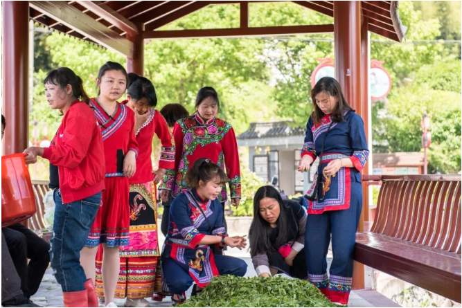 东阳村委会最新动态报道