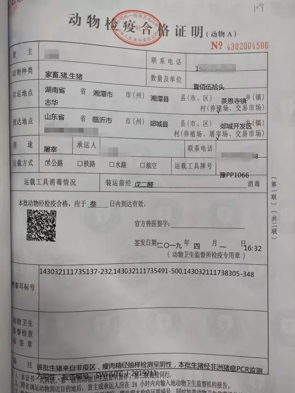 六枝特区防疫检疫站招聘信息与职业机会深度解析